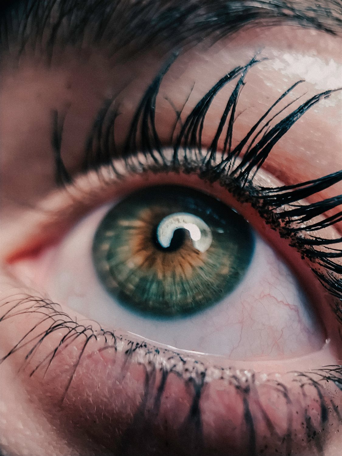 Pexels image