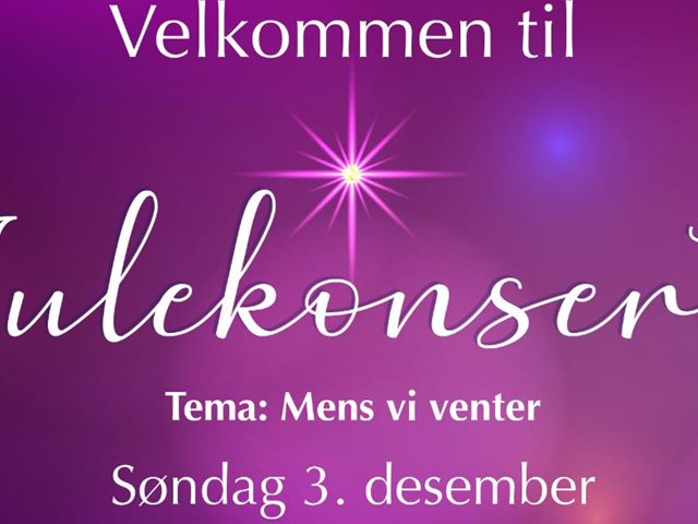 Julekonsert